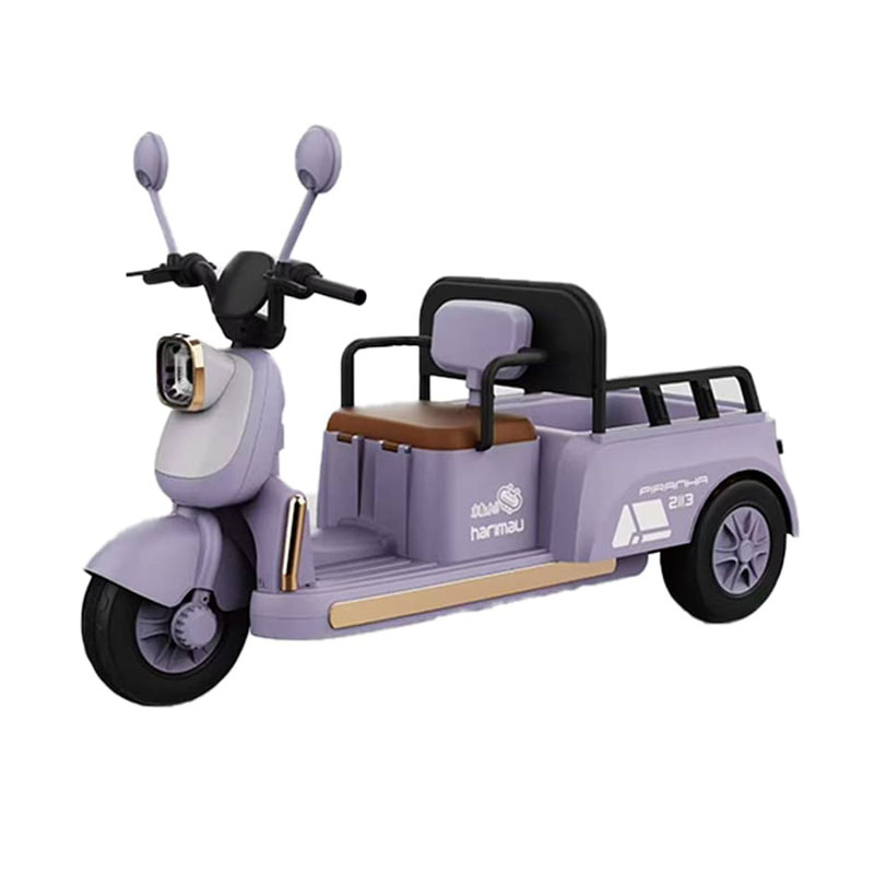 Kids Electric Tricycle with Multiple Configurations Available